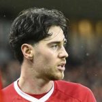 175.jpg